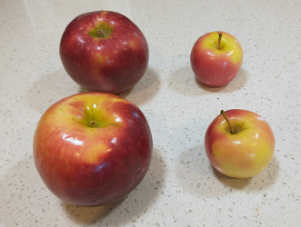 photo of the two regular-sized apples from before, but now next to two tiny apples