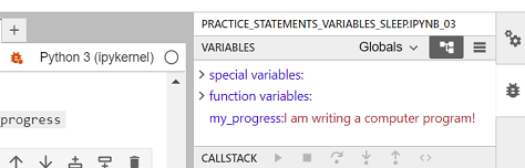 screenshot of this tab in jupyterhub, with the debugger tab opened on the right. The top section of that tab is variables, which has "special variables" then "function variables" then "my_progress:I am writing a computer program"