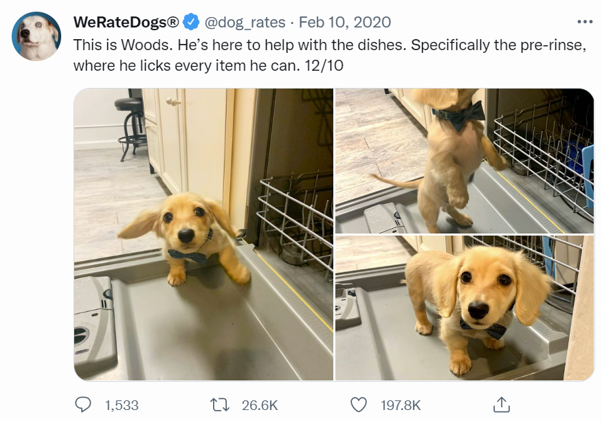 Screenshot of tweet from user WeRateDogs® (@dog_rates). Tweet text is "This is Woods. He’s here to help with the dishes. Specifically the pre-rinse, where he licks every item he can. 12/10". The tweet also has three photos of a tiny cute puppy standing on the open door of a dishwasher. The tweet was posted on Feb 10, 2020. The account that posted it has a blue check. The tweet has 1,533 quote tweets, 26.6K retweets, and 197.8K likes.