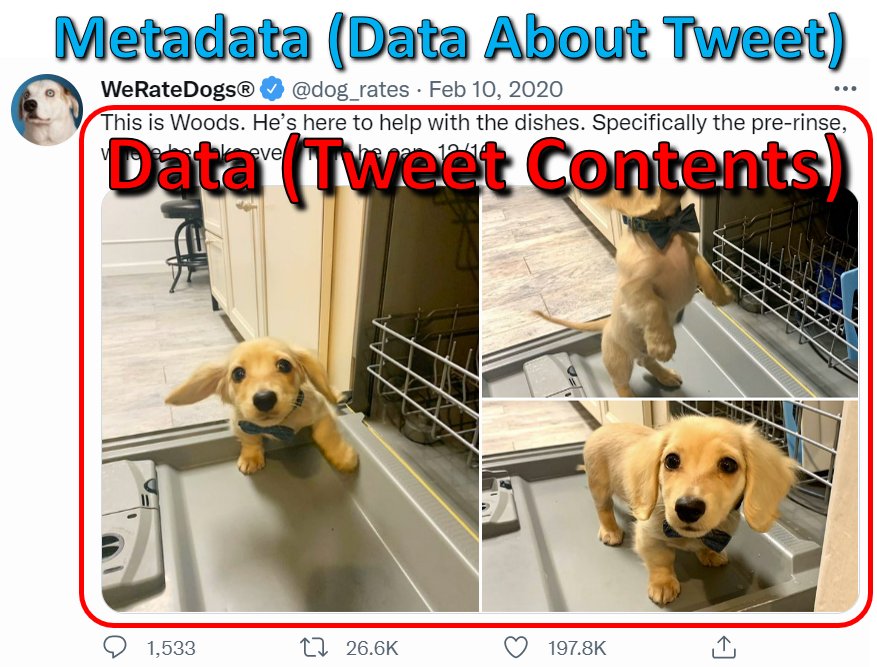 Screenshot of the tweet above, but with a box around the tweet text and photos labeled "Data (Tweet Contents) ", and the rest of the information outside the box is labeled "Metadata (Data About Tweet)"