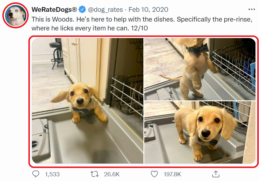 Screenshot of the tweet from before, but with the images highlighted: The user profile picture and the three puppy photos in the tweet contents